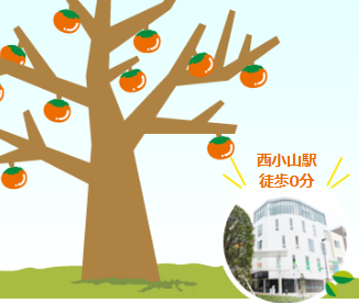 かきのき眼科