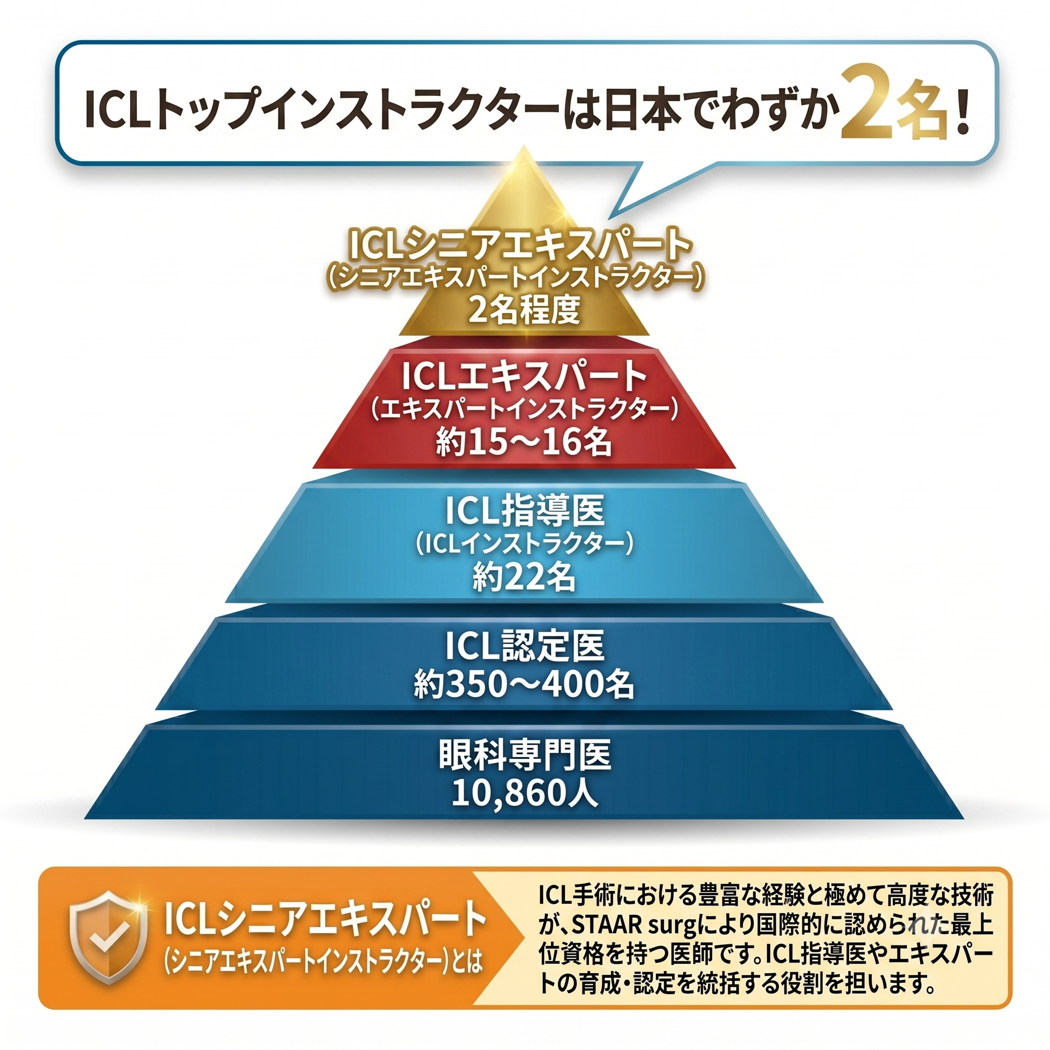 ICLトップインストラクター図解